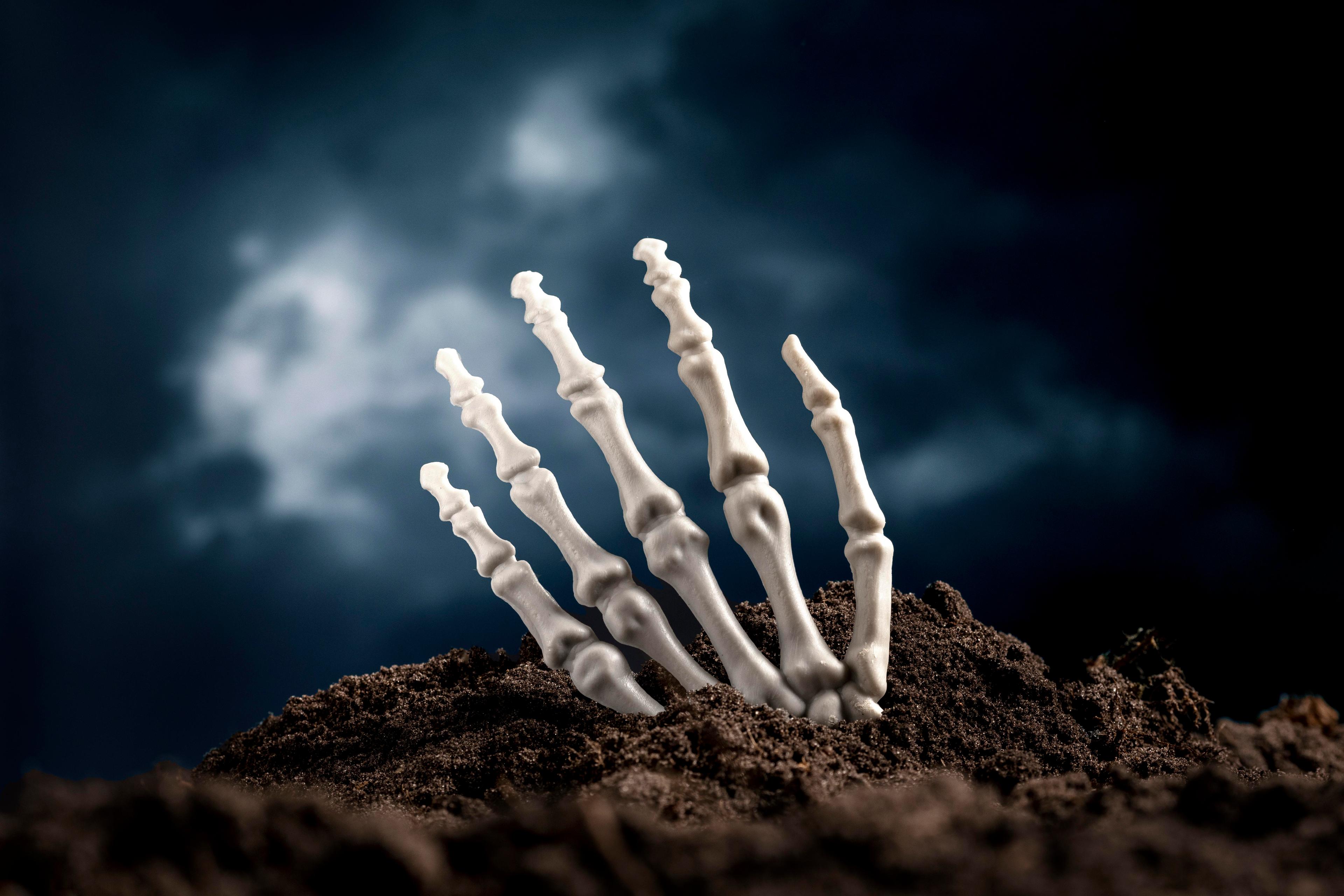 Тело человека в пространстве погребальных практик: этнография - палеоантропология - биоархеология