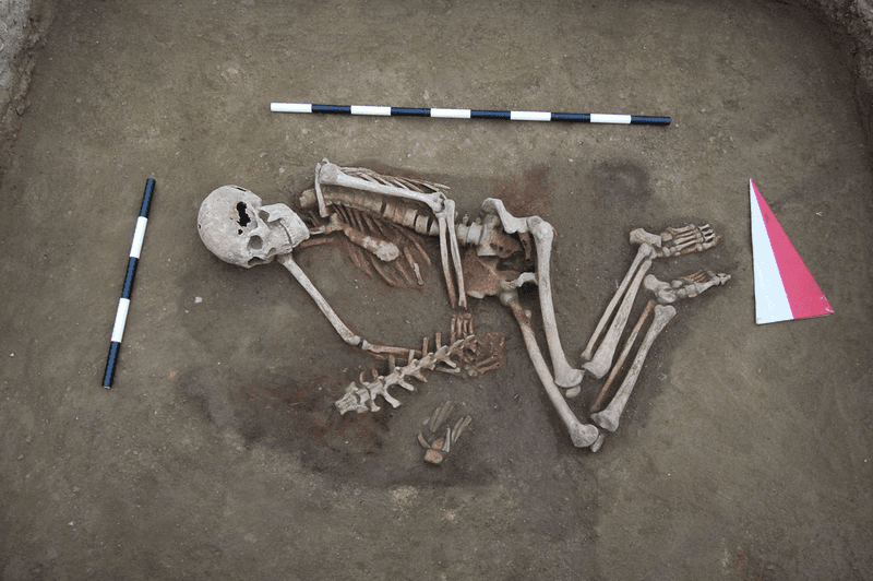 Погребение 1 кургана