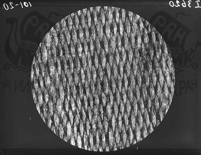 Микрофотография шелковой ткани