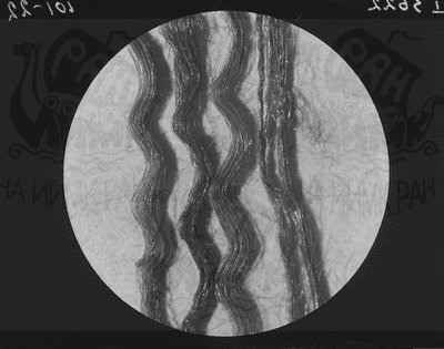 Микрофотография шелковой ткани из раскопок