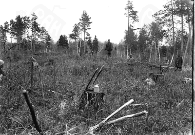 Вид кургана № 49 с юго-запада до раскопок.