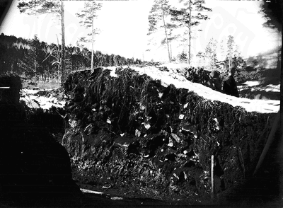 Курган № 49. Южная половина среднего продольного простенка