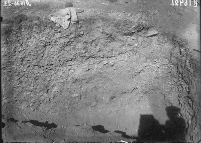 Разрез грабительской ямы.