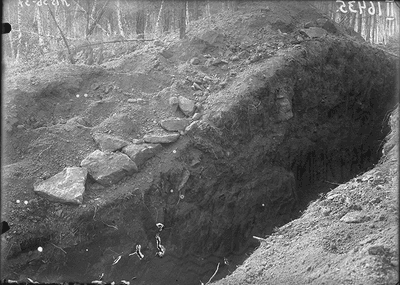 после снятия деревянного перекрытия