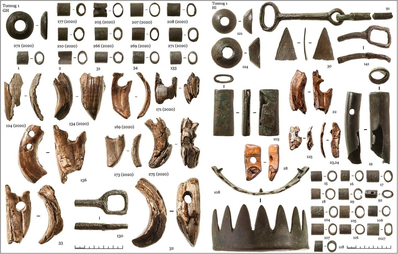 Выявленные находки