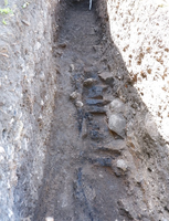 Археологи ИИМК РАН подтвердили границы древнерусской Ладоги и обнаружили следы пожара в северной части поселения